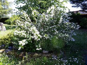 B&B / Chambres d'hotes 2 Chambres chez Valerie Gouffe : photos des chambres