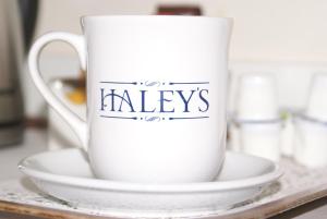 Double Room room in Haley's Hotel