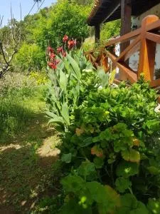 Casa rural La Gomera - 阿古洛