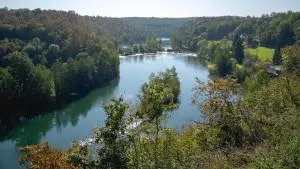 MREŽNICA - ZELENA BAJKa - Gornji Zvečaj