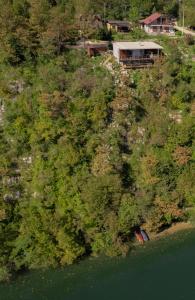 MREŽNICA - ZELENA BAJKa