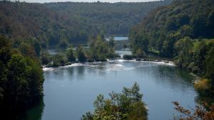 MREŽNICA - ZELENA BAJKa