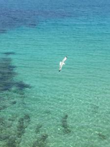 Appartement - Vue sur Mer