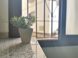 Esencia Histórica en Mezquita