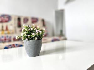 Esencia Histórica en Mezquita