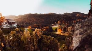 Ferienwohnung OberGuess - 4hvězdičkové hotely ve městě Leutschach