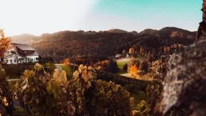 Ferienwohnung OberGuess - 洛伊查赫