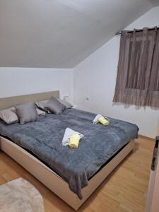 APARTMAN ŽELJA