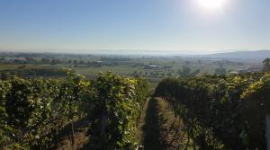 Villa Bonita del Kaiserstuhl