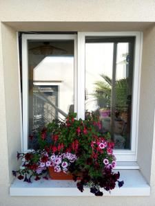 Appartements The Victory : photos des chambres