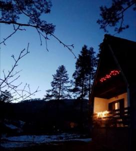 Pine Oasis