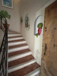 LemonTree Terrace village centre