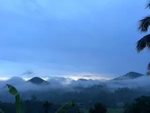 Ella Twilight Valley - Demodera