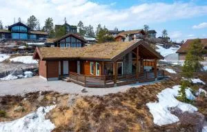 3 Bedroom Amazing Home In Vrådal - 弗罗达尔