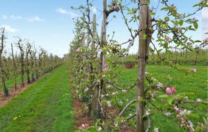 Awesome Home In Acquoy With Wifi