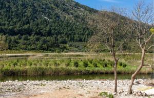 3 Bedroom Gorgeous Home In Tustevac