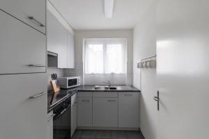 Nice and big 1 bedroom flat city centernear lake (Dahlia8)