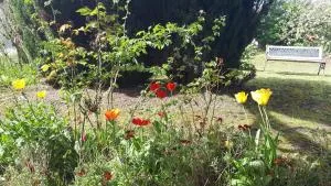 Les écureuils bourguignons - Le Puley