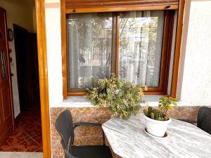 Beach & Chill Apartments