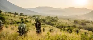 Elangeni Holiday Resort - Dullstroom