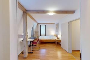 Penthouse flat in the city centernear lake (SF18)