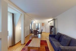 Penthouse flat in the city centernear lake (SF18)