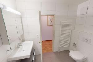 Penthouse flat in the city centernear lake (SF18)