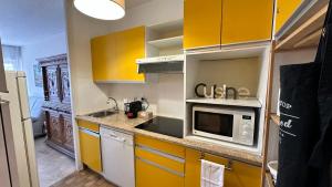 A050-Studio avec jardin prive Cannes pres de la plage