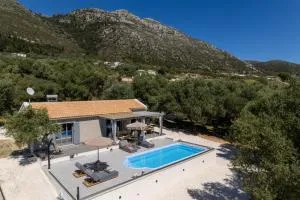 Tree of Life - Valeriános