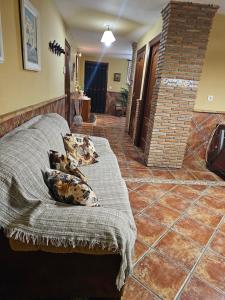 Apto-en el Bajo de la casa-estilo rústico en Dílar