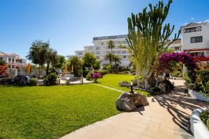 Acantilados De Los Gigantes