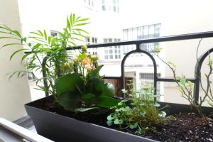 Cosy Flat in Le Marais