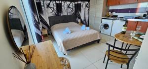 Primordial Apartment