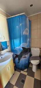 Primordial Apartment