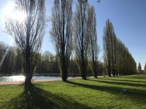 Bel Appartement lumineux à Antony.