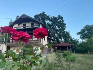 Vila Plavinac - Kolari