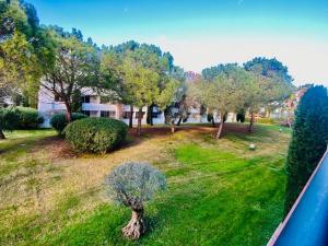Appartements Appartement en bord de mer avec piscine : photos des chambres