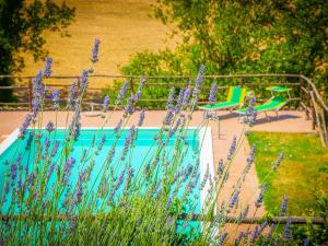 Holiday Home Tra Cielo e Terra by Interhome