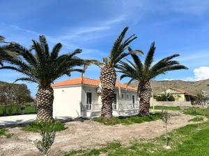 Ktimavita Apartment 1
