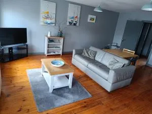 Dingle Town Center Apartment - 安纳斯考尔