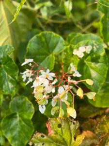Finca Villa Rosita-Tu Paraíso Campestre cerca de Bogotá