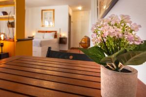 Duquesa port studio apartment - bright sunlit terrace