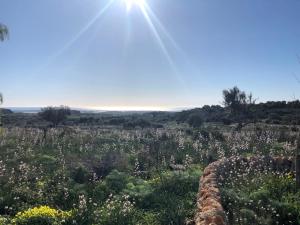 Casa Imayah charming B&B