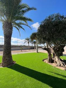 Villa Elche
