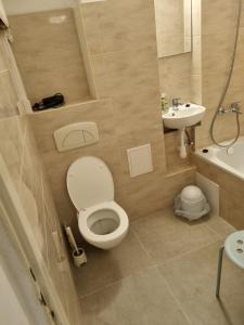 Kwatera na Wspólnej