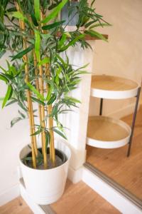 Appartements Loft - centre historique : photos des chambres