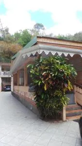 Manou - Rivière-Pilote