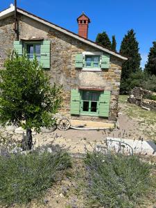 Istrian green house 