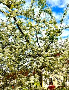 Manoir de La Barre Ceton