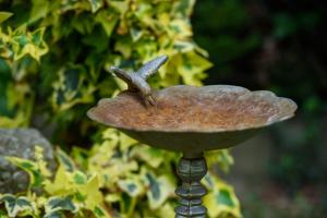 Emili Apartman Ráckeve